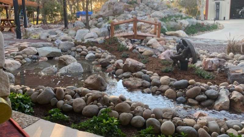 backyard landscaping without grass