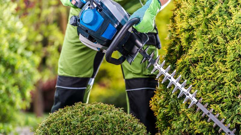 Hedge and Bush Trimming Bakersfield CA