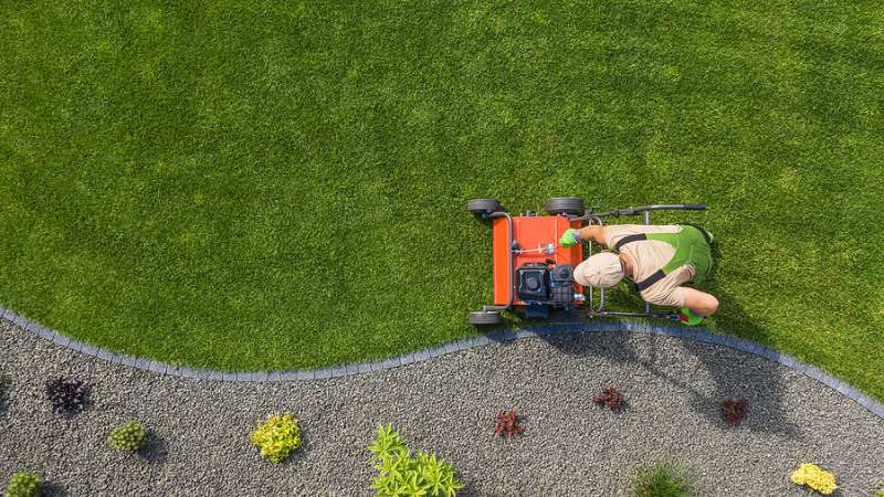Lawn Aeration and Overseeding